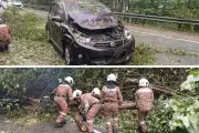 Enam Individu Selamat Selepas Pokok Tumbang Hempas Dua Kereta di Seremban
