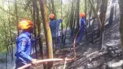 Selangor Hadapi Empat Kebakaran Hutan, Termasuk 17 Hektar di Sepang