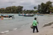 Tumpahan Minyak Kapal Karam Mencemari Pantai Phuket, Ancaman Ekosistem Marin
