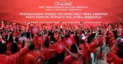 Faksi dalam Bersatu Mahu Hubungan Rapat dengan Pakatan Harapan, Dakwa Hamzah