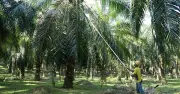Felda dan Kerajaan Terengganu Capai Kata Sepakat Status Milikan Ladang 6 Daerah