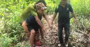 Lelaki Ditemui Hidup Selepas Hilang 5 Hari di Hutan Sarawak