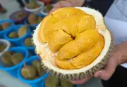 Media Sosial Pacu 'Pariwisata Durian' Malaysia, Permintaan China Melonjak
