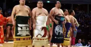 Sumo Jepun Hadapi Krisis Bakat Meskipun Populariti Meningkat