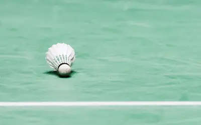 BWF Uji Coba Bulu Tangkis Sintetik Akibat Kekurangan Bulu Itik dan Angsa