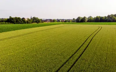 Harga Makanan Global Terus Naik pada Mac, Kata FAO