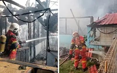 Kebakaran musnah pusat perlindungan haiwan Simpang Pulai, 10 kucing mati