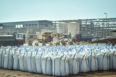 Kilang Malaysia Bekalkan Mineral Kritikal Dunia Bernilai RM395,000 Sebeg