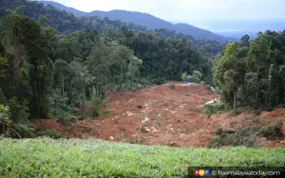 Peka Gesa Selangor Kuat Kuasa Moratorium Pembalakan 25 Tahun Bendung Banjir
