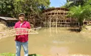 Bambu Mendapat Perhatian Global – Malaysia Berusaha Mengejar Potensi Bahan Binaan Hijau