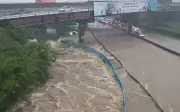 Banjir Kilat dan Pokok Tumbang Landa Lembah Klang Akibat Ribut Petir