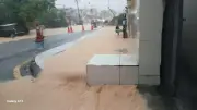 Banjir Lumpur TTDI: Arahan Henti Kerja Projek Arboretum Bukit Kiara