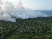 Bomba guna helikopter padam kebakaran gambut seluas 32 hektar di Dungun