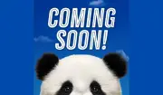 China hantar dua panda gergasi ke Atlanta dalam perjanjian pemuliharaan 10 tahun