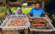 Cuaca Panas Tingkatkan Permintaan Ubi Gegeli, Pasangan Kelantan Raih Pendapatan