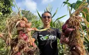 Dari kebun kecil ke hasil besar, lelaki Melaka beri makan lebih dari keluarga