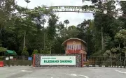 Gabungan NGO gesa Perak batal projek ladang hutan di Kledang Saiong
