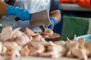 Harga ayam naik sikit, daging lembu turun, makanan terkawal