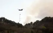 Jepun kerahkan 1,400 anggota bomba padam kebakaran hutan di utara