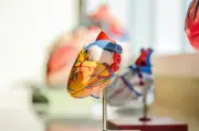 Kadar derma organ Selangor menurun walaupun kesedaran tinggi