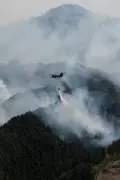 Kebakaran hutan di Jepun hari kelima, 1,400 anggota bomba dikerahkan