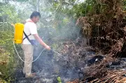 Kebakaran musnah projek cili fertigasi, petani rugi RM300,000