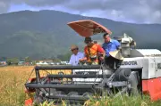 Kerajaan Galak Pemilik Tanah Terbiar Sewakan Ladang Untuk Tingkatkan Bekalan Makanan