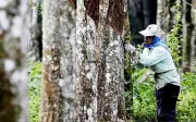 Konflik Asia Barat: KKDW Perlu Jadi Benteng 8.1 Juta Komuniti Desa, Kata TPM