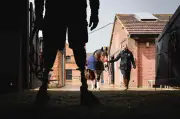 Kuda bantu veteran tentera Britain pulih daripada trauma dan PTSD
