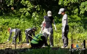Kumpulan sukarelawan hidupkan semula taman sungai yang dilupakan di KL