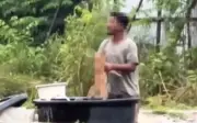 Lelaki Ditahan Didakwa Cuba Tenggelamkan Anak Anjing di Shah Alam