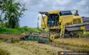 Mada Cadang SKDS Diperluas Kepada Industri Padi Untuk Ringankan Beban Pesawah