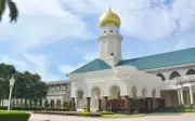 Majlis Diraja Selangor desak tindakan tegas terhadap imej babi