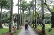 Naik taraf Taman Persekutuan Lembah Kiara di TTDI dijangka siap Jun