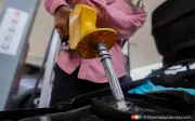 Penganalisis Ramal Usaha Kurangkan Ketirisan, Pembaziran Dipergiat Tanggung Subsidi