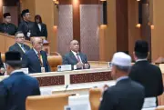 Perak Tegas: Tiada Peluasan Zon Pembangunan Ladang Hutan Baharu