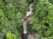 Sabah disahkan negeri karbon negatif, buka peluang pasaran kredit iklim