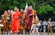 Sami Buddha berkaki ayam berjalan 210 km demi keamanan dan haiwan