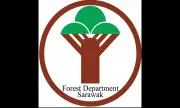 Sarawak Kurangkan Royalti Kayu Balak 50 Peratus untuk Sokong Industri