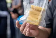 Sarawak Uji Vaksin Rabies Boleh Dimakan untuk Anjing Bebas Berkeliaran
