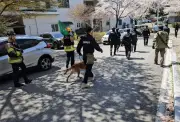 Sekolah Ditutup di Korea Selatan Akibat Serigala Lari dari Zoo Daejeon