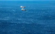 Selat Hormuz Kini Beroperasi Dengan Sistem Dua Koridor Maritim