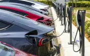 Subsidi Kerajaan China Dorong Strategi Pelbagai Jenama Kenderaan Elektrik