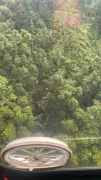 Tragedi Helikopter di Kalimantan Barat: 8 Maut Termasuk Warganegara Malaysia