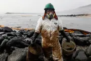 Tumpahan Minyak: Pengesanan Awal dengan Bakteria Bioluminesen Boleh Cegah Bencana Alam