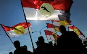 Umno Kedah Digesa Angkat Usul Bertanding Solo dalam Mesyuarat Cawangan