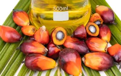 Malaysia perlu lebih agresif promosi biofuel minyak sawit, kata saintis