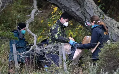 Saintis Argentina kumpul tikus untuk ujian hantavirus