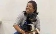 Anjing Ajaib Champ: Pejuang Kanser dengan Tuah Berterusan