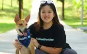 Anjing pilih manusia sendiri di program adopsi hujung minggu